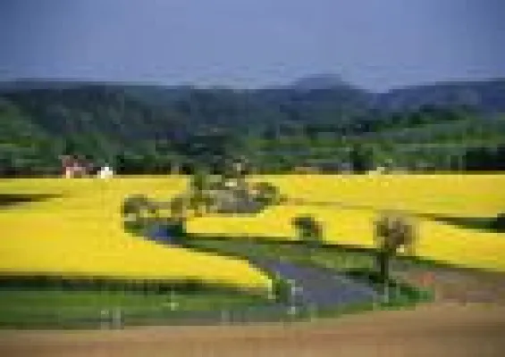 Bild: Erlebnisreise entlang der Romantischen Straße: Kurzurlaub im Jahr der Brückentage