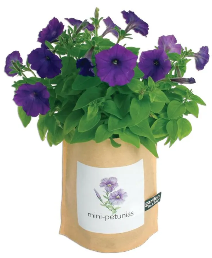 Garden in a Bag