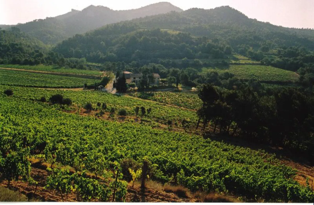 Anbau der Vacqueyras-Weine von Le Clos de Caveau oberhalb des Rhônetals nach ökologischen Standards.