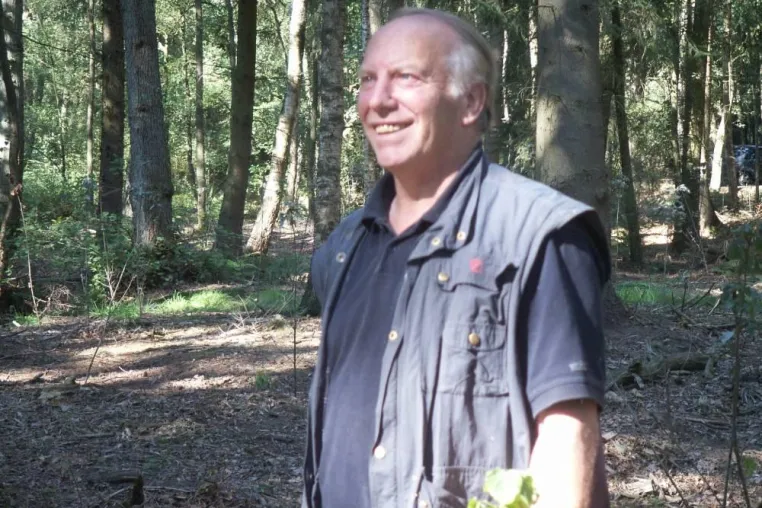 Bild: Bestattung unter Bäumen in einem idyllischen Wald – Ruhehain Bönningstedt eröffnet