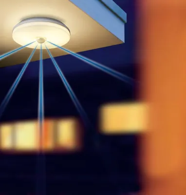 Bild: Willkommen zu Hause