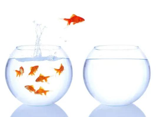 Ministerien rüsten massiv beim PR-Personal auf Bild: Ministerien rüsten massiv beim PR-Personal auf