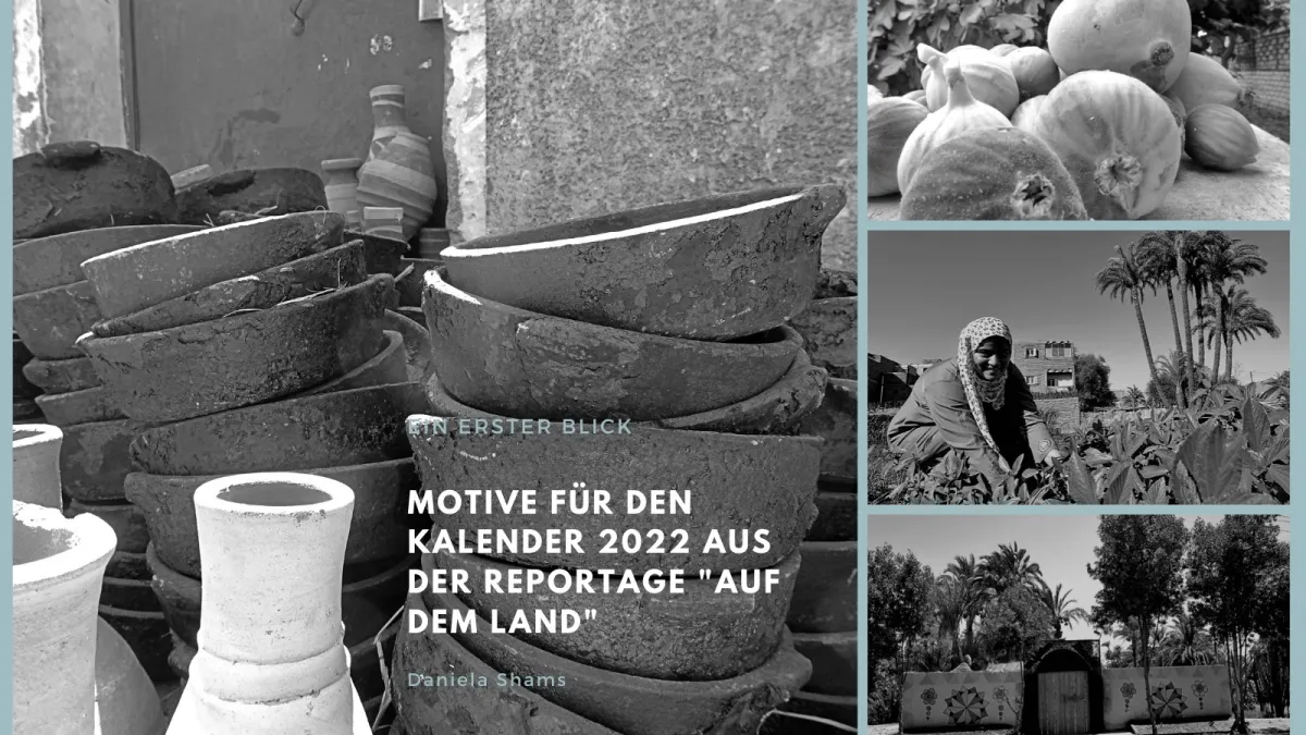 Aus der Reportage 