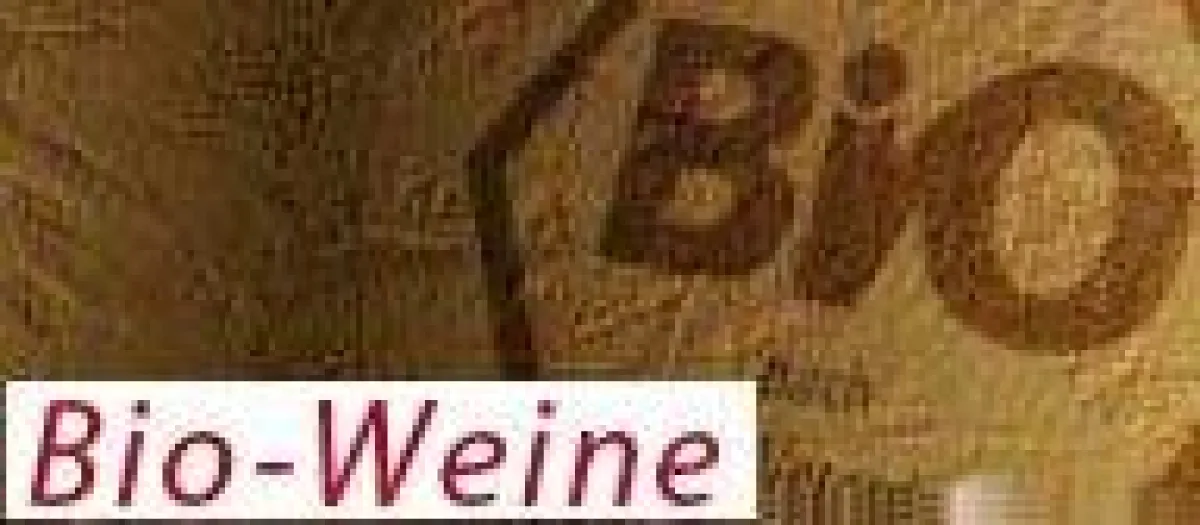 Bioweine von Spitzen-Weingütern