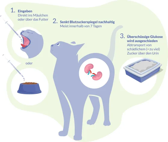 Bild: Innovation: orale Antidiabetika für Katzen