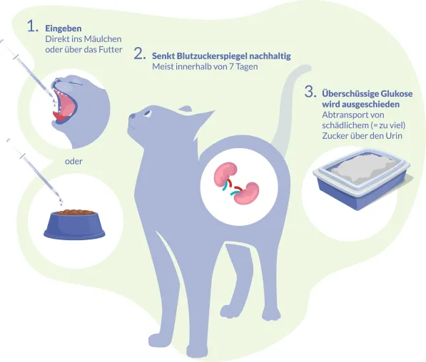 Bild: Innovation: orale Antidiabetika für Katzen