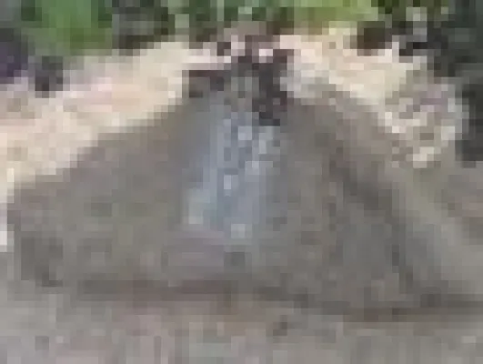 Bild: Von der Kunst gelassen zu führen