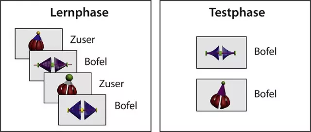 Frühe Sprachentwicklung im Zeitraffer: Wie im Schlaf aus Lauten Wörter werden Bild: Frühe Sprachentwicklung im Zeitraffer: Wie im Schlaf aus Lauten Wörter werden