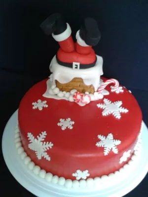 Bild: Feuerwerk und Weihnachtsschwimmen: Austauschschüler feiern Weihnachten in Irland