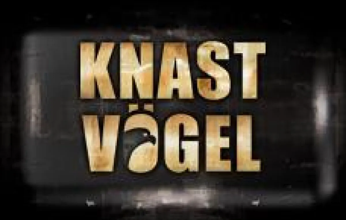 Knastvögel Logo
