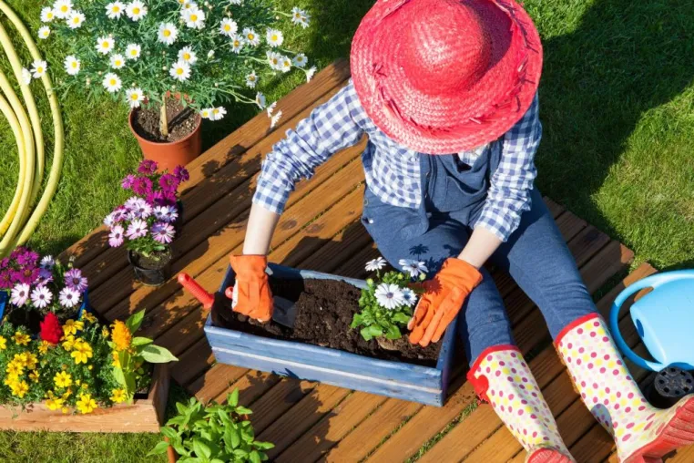 Jens Schwamborn: Mit Gartenarbeit durch das Jahr Bild: Jens Schwamborn: Mit Gartenarbeit durch das Jahr