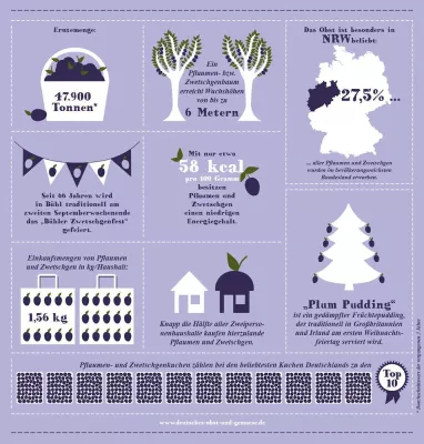 Bild: Infografik – Pflaumen und Zwetschgen: Jetzt wird es fruchtig