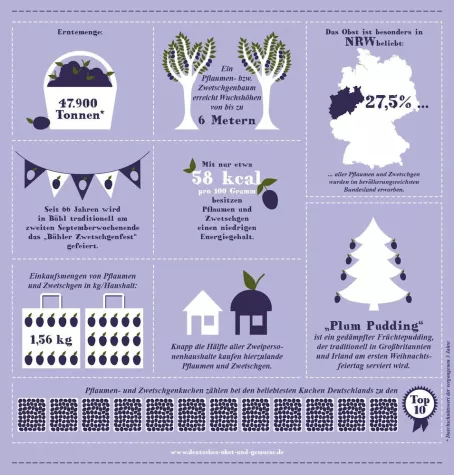 Bild: Infografik – Pflaumen und Zwetschgen: Jetzt wird es fruchtig
