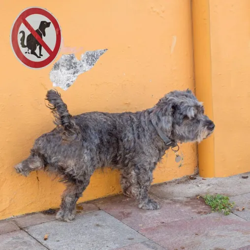 Bild: In Hannovers Innenstadt: Fotoworkshop „Streetfotografie“ mit der Fotoschule des Sehens