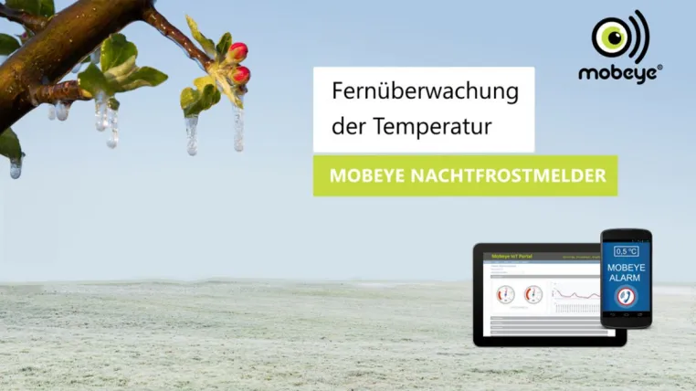 Nachtfrost Bild: Nachtfrost