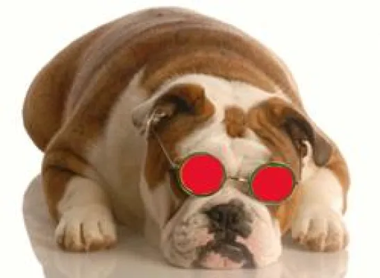 Bild: redshoedogs gibt 10 Tipps für Ärzte, wie sie sich Patienten vom Hals halten können