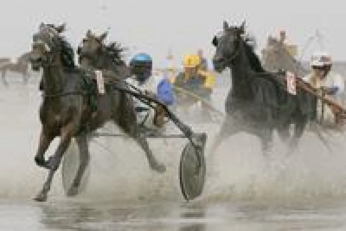 Feuchtes Spektakel: Duhner Wattrennen 2007