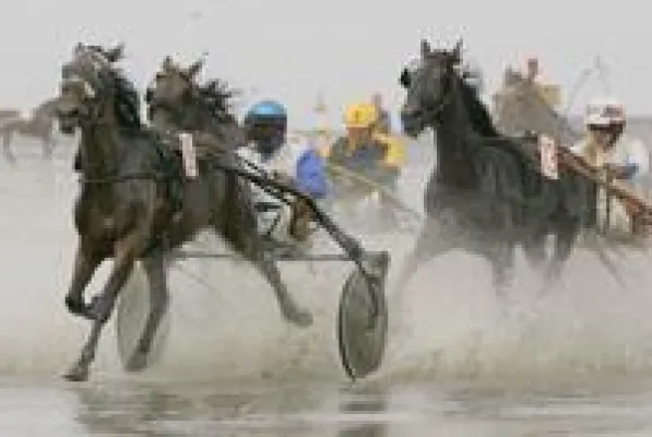 Bild: Pferderennen auf dem Meeresgrund