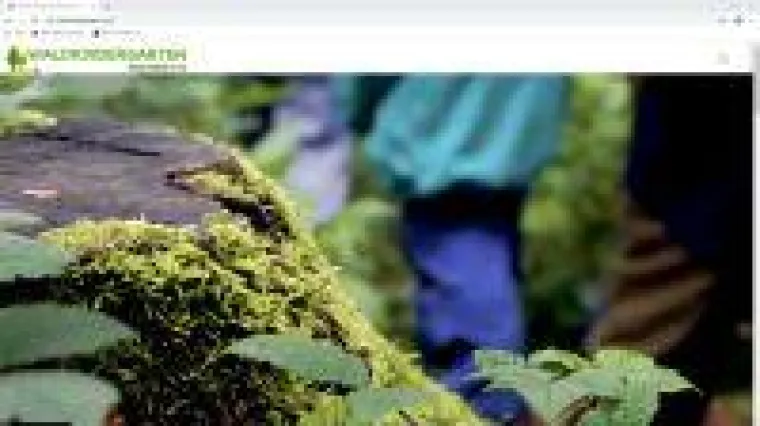 Neue Website für den Waldkindergarten Traunstein e.V. Bild: Neue Website für den Waldkindergarten Traunstein e.V.