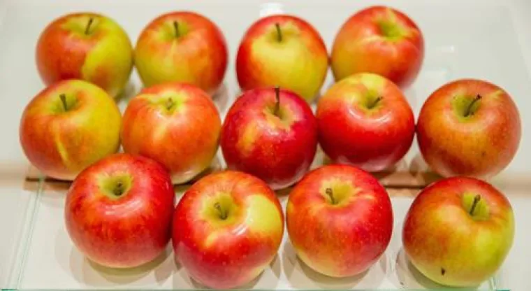 Bild: Apfel statt Arzt gegen Volkskrankheiten