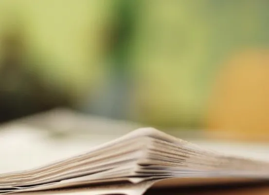 Bild: Immer mehr Unternehmen durchleuchten Bewerber – Detekteien sollen Betrügern auf die Schliche kommen