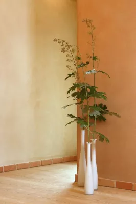 Lehmgesund in den eigenen vier Wänden Bild: Lehmgesund in den eigenen vier Wänden