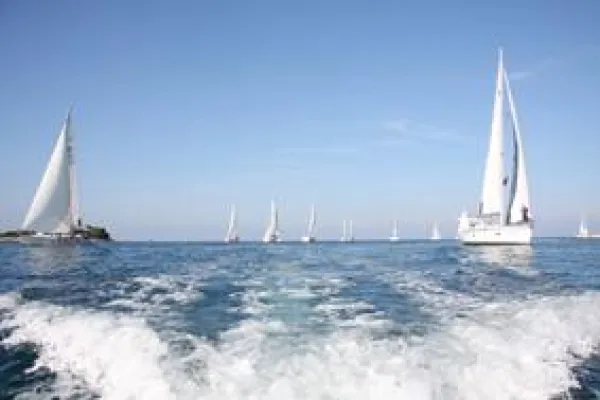 Bild: Dabei sein ist alles - AMS-Segelregatta 2008