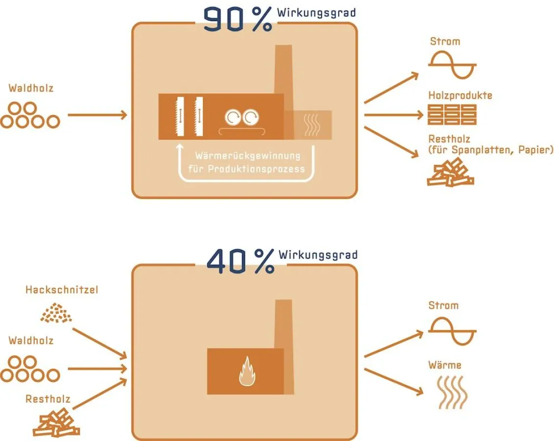 Die Holzindustrie ist der bessere energetische Nutzer (Copyright: BSHD).