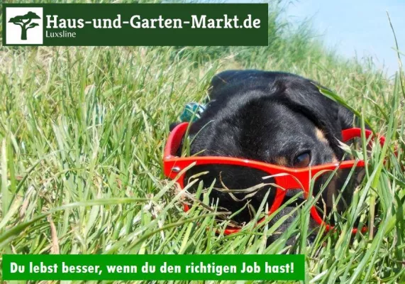 Bild: HausUndGartenMarkt.de sucht die E-Commerce Geschäftsstrategie der Zukunft