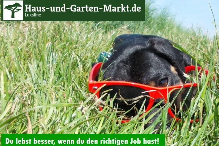 Bild: HausUndGartenMarkt.de sucht die E-Commerce Geschäftsstrategie der Zukunft
