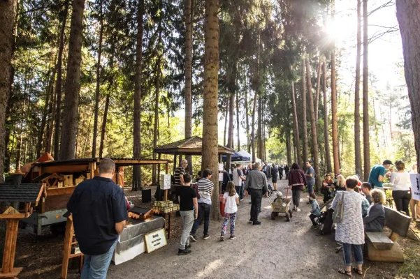 Bild: Herbstmarkt im Wildpark Müden