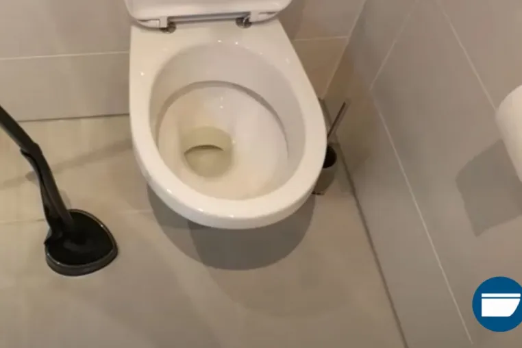 Toiletten-Tipp hilft beim Finden geeigneter Toilettenprodukte Bild: Toiletten-Tipp hilft beim Finden geeigneter Toilettenprodukte