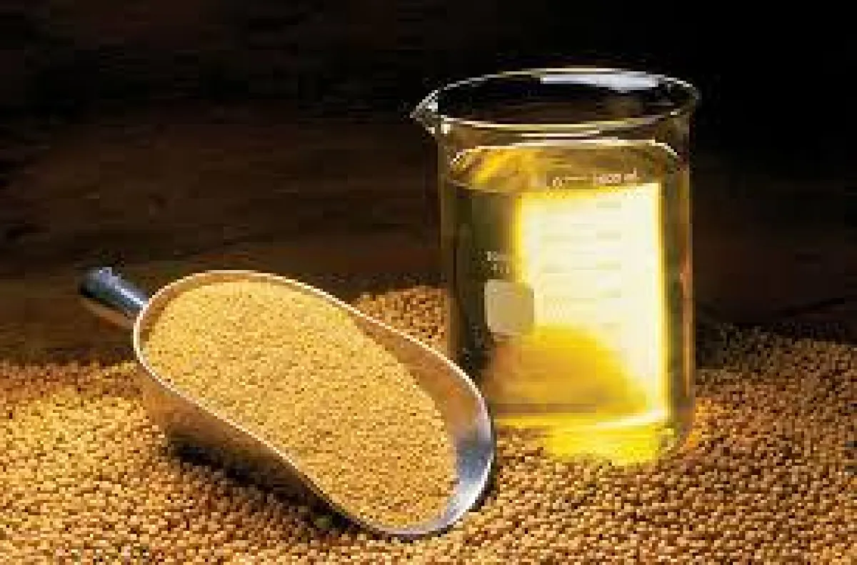 Synthetic and Bio-Based Adipic Acids