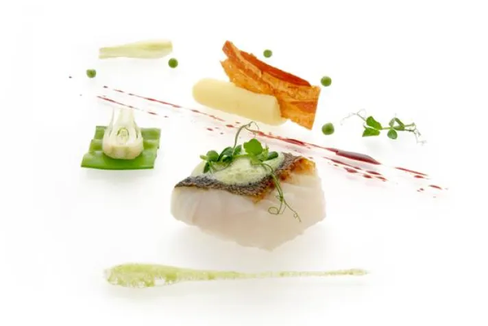 Bild: Ess Kulturen in der axica