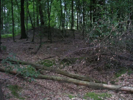 Bild: Ohne Umweg zum Schacht