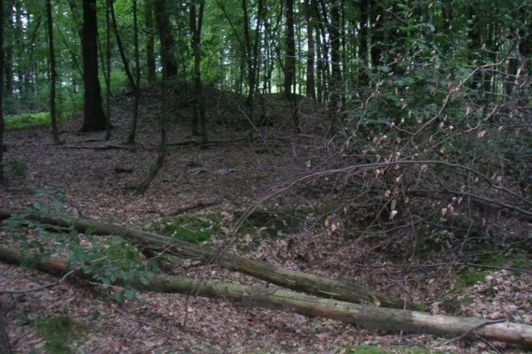 Ohne Umweg zum Schacht Bild: Ohne Umweg zum Schacht