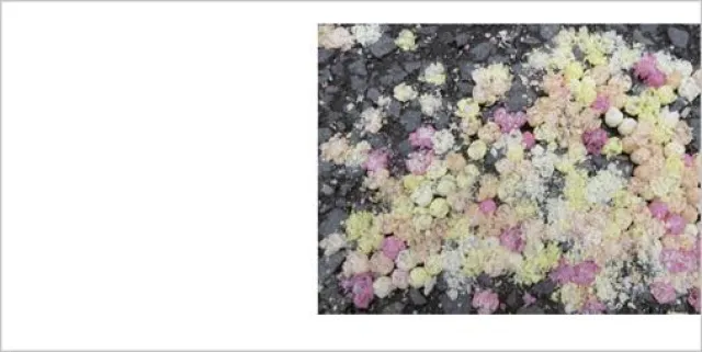 Aggregatzustand – Fest, flüssig, gasförmig. Kunst als Ladungsträger Bild: Aggregatzustand – Fest, flüssig, gasförmig. Kunst als Ladungsträger