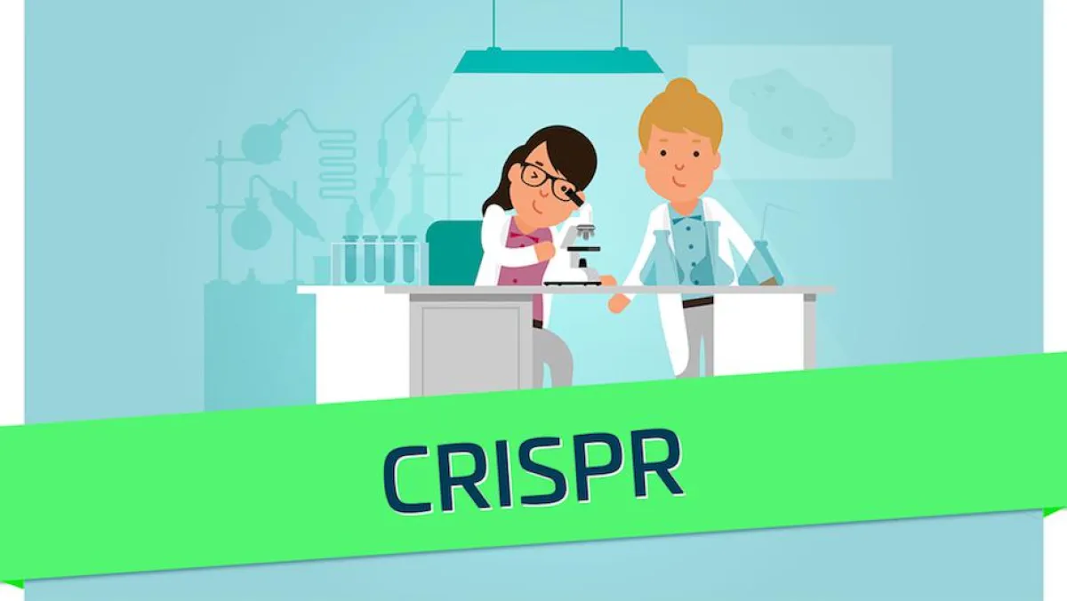 Screenshot aus dem Erklärvideo ?CRISPR? der explain it GmbH
