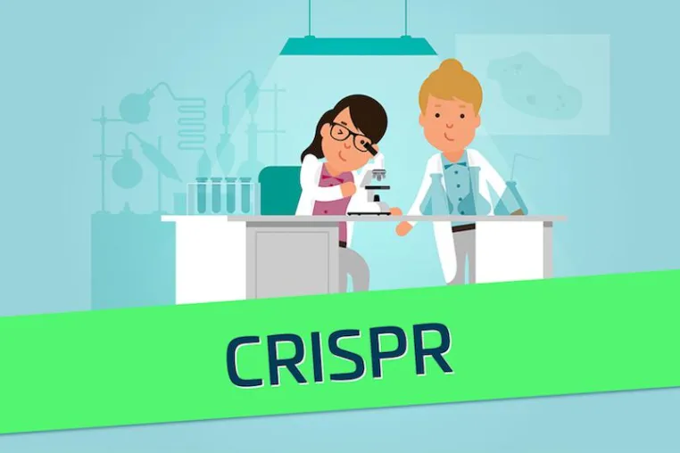 CRISPR/Cas9 in 4 Minuten erklärt Bild: CRISPR/Cas9 in 4 Minuten erklärt