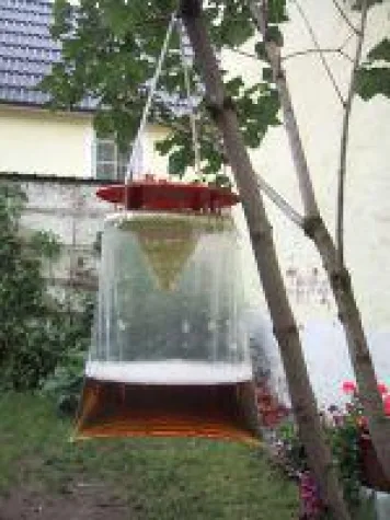 Bild: Insekten auf Distanz gebracht - Zwei Fliegen mit einer Klappe