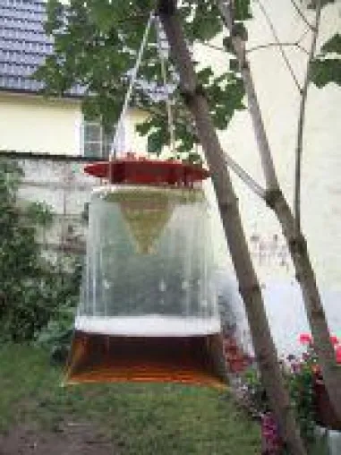 Insekten auf Distanz gebracht - Zwei Fliegen mit einer Klappe Bild: Insekten auf Distanz gebracht - Zwei Fliegen mit einer Klappe