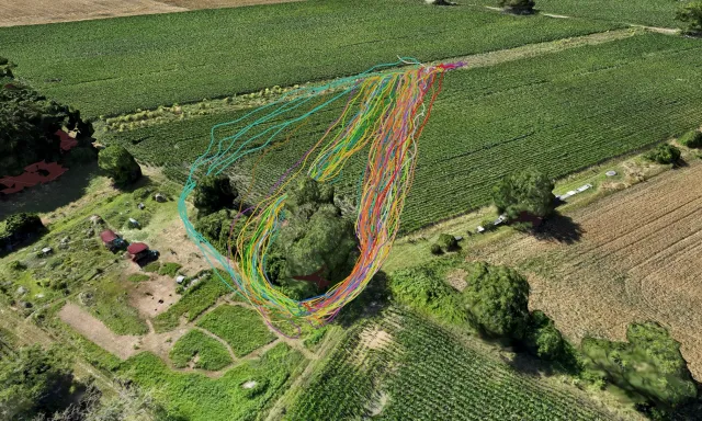 Bild: Honigbienen navigieren präziser als bislang angenommen