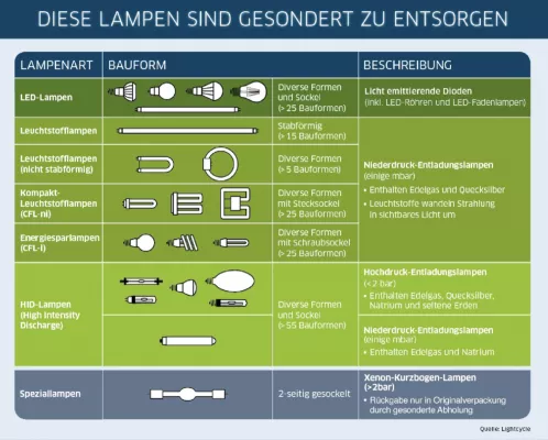 Bild: 80 Prozent der Deutschen kennen den richtigen Recyclingort für Altlampen
