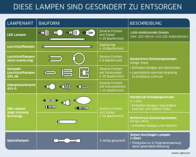 Bild: 80 Prozent der Deutschen kennen den richtigen Recyclingort für Altlampen
