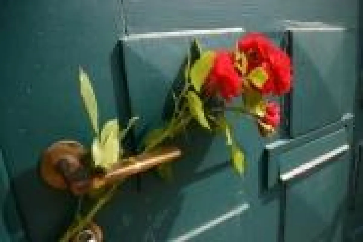 Ideen zählen mehr als Geld