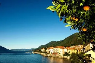 Bild: Der See, wo die Zitronen blühen – Blütenpracht am Lago Maggiore