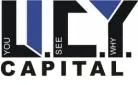 Bild: UCY CAPITAL PARTNERS lädt ein zur Investorenreise in die Schweiz