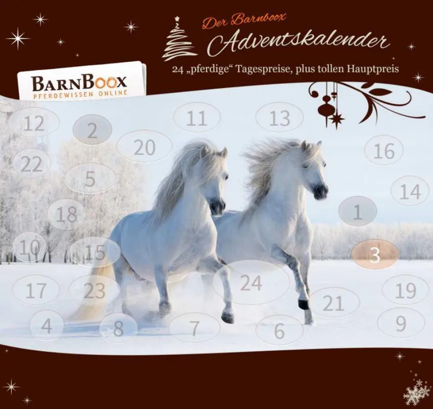24 hochwertige Preise für Pferd und Reiter verkürzen das Warten auf das Christkind. Foto: Barnboox.