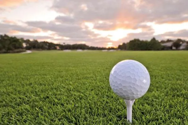 Bild: Golf-Feeling für zu Hause: Der perfekte Rasen