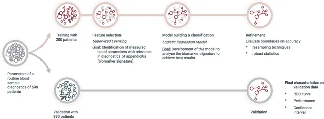Bild: OakLabs und die Charité veröffentlichen Modell zur verbesserten Diagnostik bei akuter Blinddarmentzündung